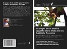 Jabamalainathan Leona Princy, Balasundaram Ramakrishnan, Arockianathan Samson - Ecología de la ardilla gigante de la India en los hábitats fluviales