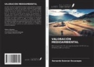 Bernardo Bubniak Bocanegra - VALORACIÓN MEDIOAMBIENTAL