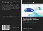 Miguel Ramos-Pascual - Simulación del ciclo de replicación del Coronavirus SARS-CoV-2