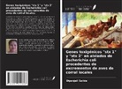 Dipanjali Saikia - Genes toxigénicos "stx 1" y "stx 2" en aislados de Escherichia coli procedentes de excrementos de aves de corral locales