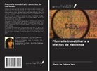 Maria de Fátima Vaz - Plusvalía inmobiliaria a efectos de Hacienda