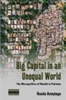 Rosita Armytage - Big Capital in an Unequal World
