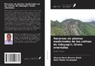 Rami Reddy Korasapati, Khasim Munir Bhasha Shaik - Recursos de plantas medicinales de las colinas de Udayagiri, Ghats orientales