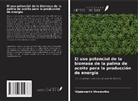 Vijaiananth Viramuthu - El uso potencial de la biomasa de la palma de aceite para la producción de energía