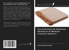 Rachel Bailey De Luise - Una confluencia de dispositivos literarios en la literatura americana temprana