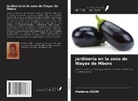Mariéme NGOM - Jardinería en la zona de Niayes de Mboro