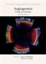 Diane R Bielenberg, Patricia A D'Amore - Angiogenesis: Biology and Pathology