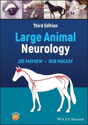 Rob MacKay, Rob (University of Florida Mackay, I G Joe Mayhew, I. G. Joe Mayhew, I. G. Joe Mackay Mayhew, J Mayhew... - Large Animal Neurology