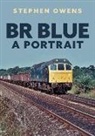 Stephen Owens - BR Blue: A Portrait