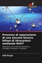 Adib Bazgir - Processo di separazione di una miscela binaria bifase di idrocarburi mediante RHVT