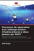 Adib Bazgir - Processus de séparation d'un mélange binaire d'hydrocarbures à deux phases par RHVT