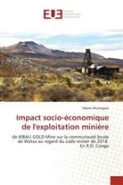 Fabien Mutangala - Impact socio-économique de l'exploitation minière