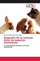 Hernán Camilo Bohórquez Jaimes - Ecografía de la vesícula biliar de especies domésticas