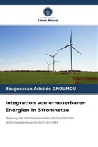 Bougnéssan Aristide GNOUMOU - Integration von erneuerbaren Energien in Stromnetze