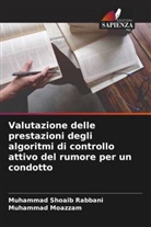 Muhammad Moazzam, Muhammad Shoaib Rabbani - Valutazione delle prestazioni degli algoritmi di controllo attivo del rumore per un condotto