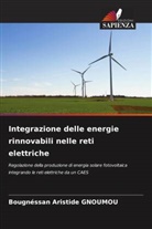 Bougnéssan Aristide GNOUMOU - Integrazione delle energie rinnovabili nelle reti elettriche