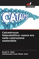 Ranjit K. Nath, Muhammad Fauzi Mohd. Zain - Calcestruzzo fotocatalitico: nuova era nella costruzione sostenibile
