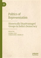 Sudha Pai, Thorat, Sukhadeo Thorat, Sukhdeo Thorat - Politics of Representation