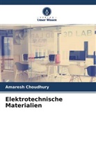 Amaresh Choudhury - Elektrotechnische Materialien