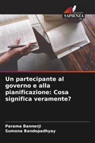 Sumona Bandopadhyay, Parama Bannerji - Un partecipante al governo e alla pianificazione: Cosa significa veramente?