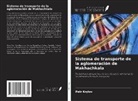 Petr Krylov - Sistema de transporte de la aglomeración de Makhachkala