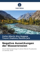 Carlos Alberto Alva Huapaya, Treyss Mantilla Jara, Treyssi Stephany Mantilla Jara - Negative Auswirkungen der Wassererosion