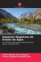 Carlos Alberto Alva Huapaya, Treyssi Stephany Mantilla Jara - Impactos Negativos da Erosão da Água