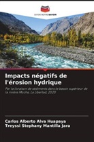 Carlos Alberto Alva Huapaya, Treyssi Stephany Mantilla Jara - Impacts négatifs de l'érosion hydrique