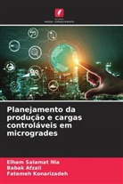 Babak Afzali, Fatemeh Konarizadeh, Elham Salamat Nia - Planejamento da produção e cargas controláveis em microgrades