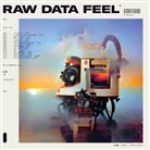 Everything Everything - Raw Data Feel, 1 Audio-CD (Livre audio)