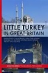 Tuncay Bilecen, Ibrahim Sirkeci, Fethiye Tilbe - Little Turkey in Great Britain
