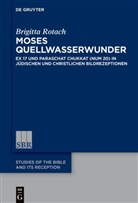 Brigitta Rotach - Moses Quellwasserwunder