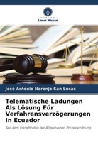 José Antonio Naranjo San Lucas - Telematische Ladungen Als Lösung Für Verfahrensverzögerungen In Ecuador