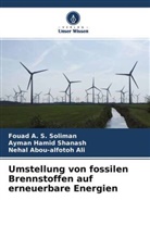 Nehal Ali, Nehal Abou-alfotoh Ali, Ayman Hamid Shanash, Fouad A S Soliman, Fouad A. S. Soliman - Umstellung von fossilen Brennstoffen auf erneuerbare Energien