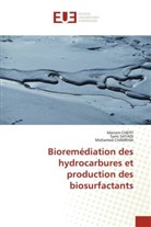 Mohamed CHAMKHA, Meriam CHEFFI, Sami SAYADI - Bioremédiation des hydrocarbures et production des biosurfactants