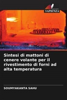 Soumyakanta Sahu - Sintesi di mattoni di cenere volante per il rivestimento di forni ad alta temperatura