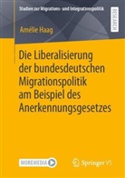 Amélie Haag - Die Liberalisierung der bundesdeutschen Migrationspolitik am Beispiel des Anerkennungsgesetzes