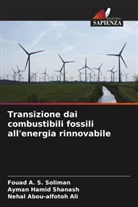 Nehal Abou-alfotoh Ali, Ayman Hamid Shanash, Fouad A. S. Soliman - Transizione dai combustibili fossili all'energia rinnovabile