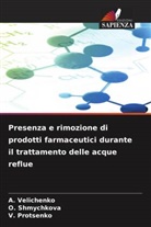 V. Protsenko, O. Shmychkova, A. Velichenko - Presenza e rimozione di prodotti farmaceutici durante il trattamento delle acque reflue