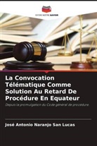 José Antonio Naranjo San Lucas - La Convocation Télématique Comme Solution Au Retard De Procédure En Equateur