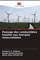 Nehal Abou-alfotoh Ali, Ayman Hamid Shanash, Fouad A. S. Soliman - Passage des combustibles fossiles aux énergies renouvelables