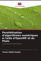 Ahmed Rimaz Faizabadi, Tanvir Habib Sardar - Parallélisation d'algorithmes numériques à l'aide d'OpenMP et de Pluto