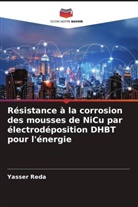 Randa Abdel-Karim, Saad El-Raghy, Yasser Reda - Résistance à la corrosion des mousses de NiCu par électrodéposition DHBT pour l'énergie