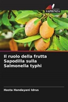 Hasta Handayani Idrus - Il ruolo della frutta Sapodilla sulla Salmonella typhi