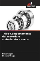 Priya Gajjal, Shekhar Gajjal - Tribo-Comportamento del materiale sinterizzato a secco