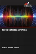 Birhan Muche Alemie - Idrogeofisica pratica