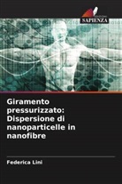 Federica Lini - Giramento pressurizzato: Dispersione di nanoparticelle in nanofibre
