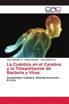 Galbis Galindez, Jesus Galindez A., Juan Galindez M. - La Cuántica en el Cerebro y la Teleportacion de Bacteria y Virus.