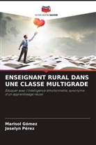 Marisol Gómez, Joselyn Pérez - ENSEIGNANT RURAL DANS UNE CLASSE MULTIGRADE