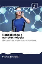 Pourya Zarshenas - Nanoscienza e nanotecnologia